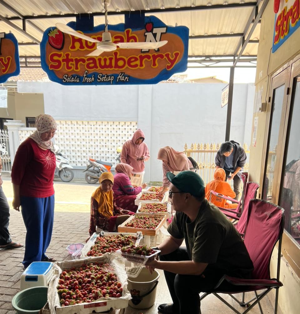 Strawberry Farm Batu