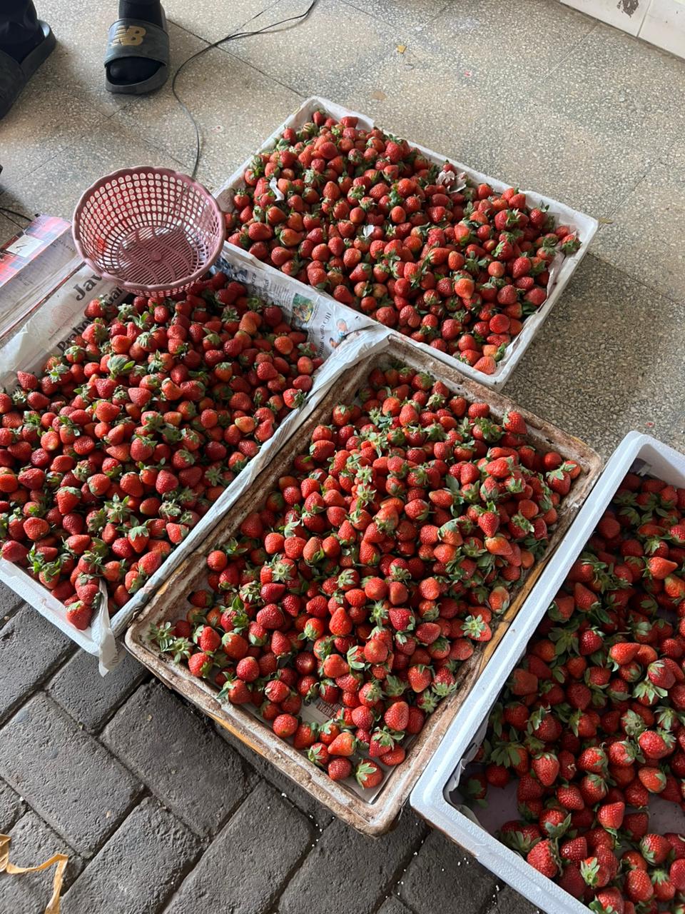 Fresh Strawberries Close-up